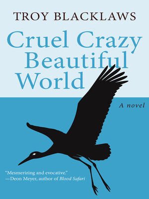 cover image of Cruel Crazy Beautiful World